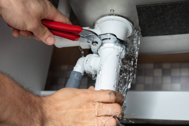 Best Professional water damage repair  in Shenandoah, TX