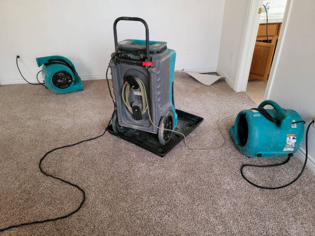 Best 24/7 water damage repair  in Shenandoah, TX