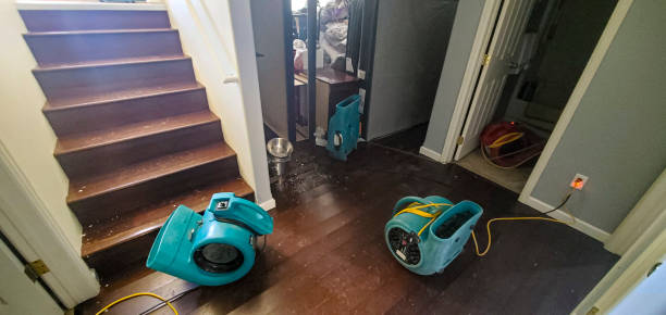 Professional Water damage restoration in Shenandoah, TX