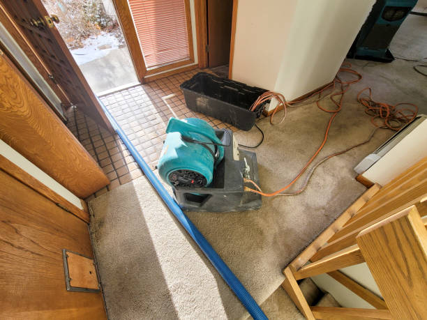 Best Sewage cleanup and water damage restoration  in Shenandoah, TX