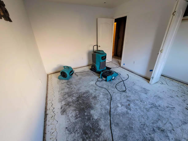 Best Flood damage cleanup  in Shenandoah, TX
