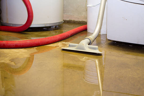 Best Flooded house restoration  in Shenandoah, TX