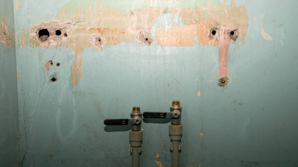 Best Commercial water damage restoration  in Shenandoah, TX