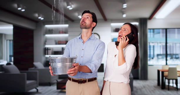Best Water damage restoration near me  in Shenandoah, TX